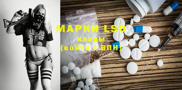 PSILOCYBIN Инта
