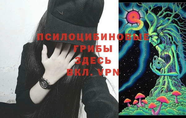ПСИЛОЦИБИНОВЫЕ ГРИБЫ Армянск