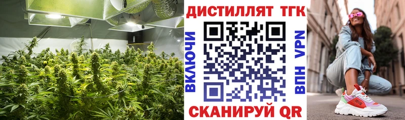 ТГК вейп  hydra вход  Сычёвка  цена  