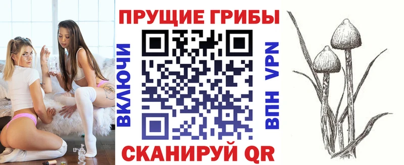 Галлюциногенные грибы MAGIC MUSHROOMS  Сычёвка 
